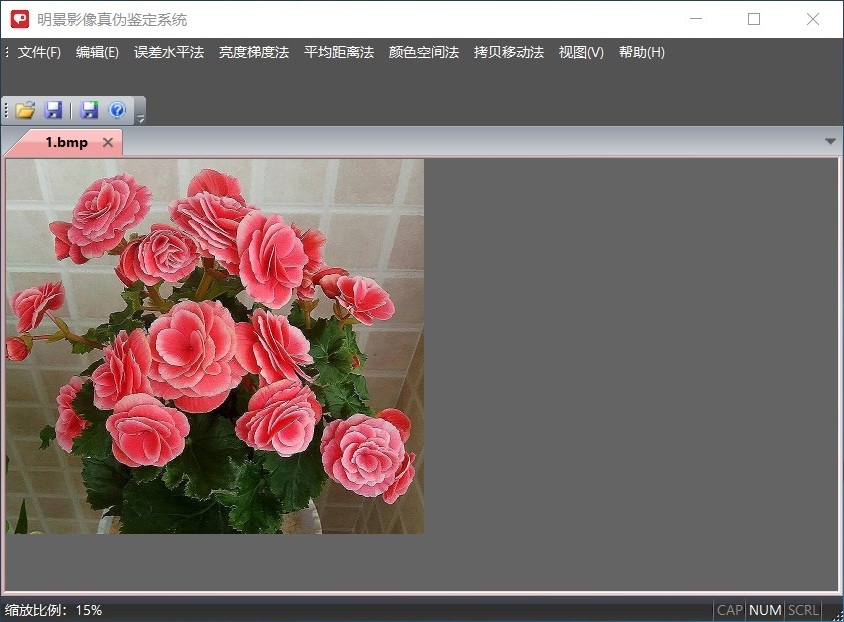 J9集团影像真伪鉴定系统